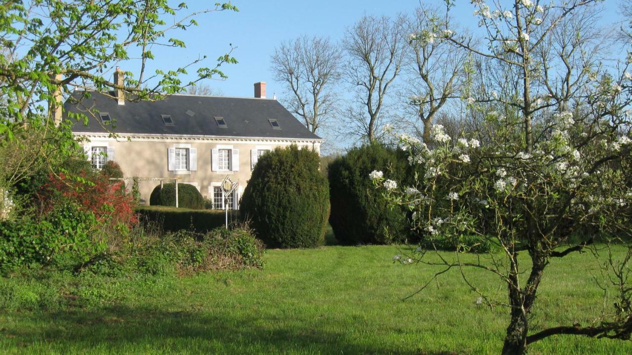 Le Petit Bois Bed and Breakfast Chateau-la-Valliere Exteriör bild